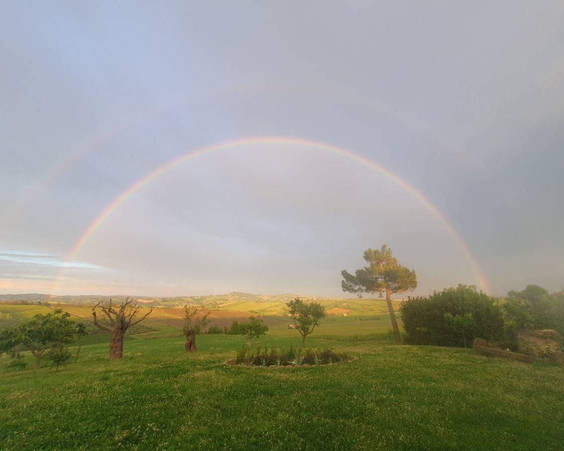 Rainbbow