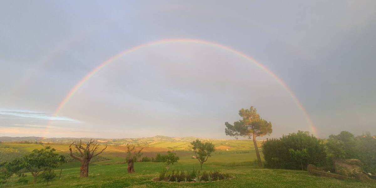 Rainbbow