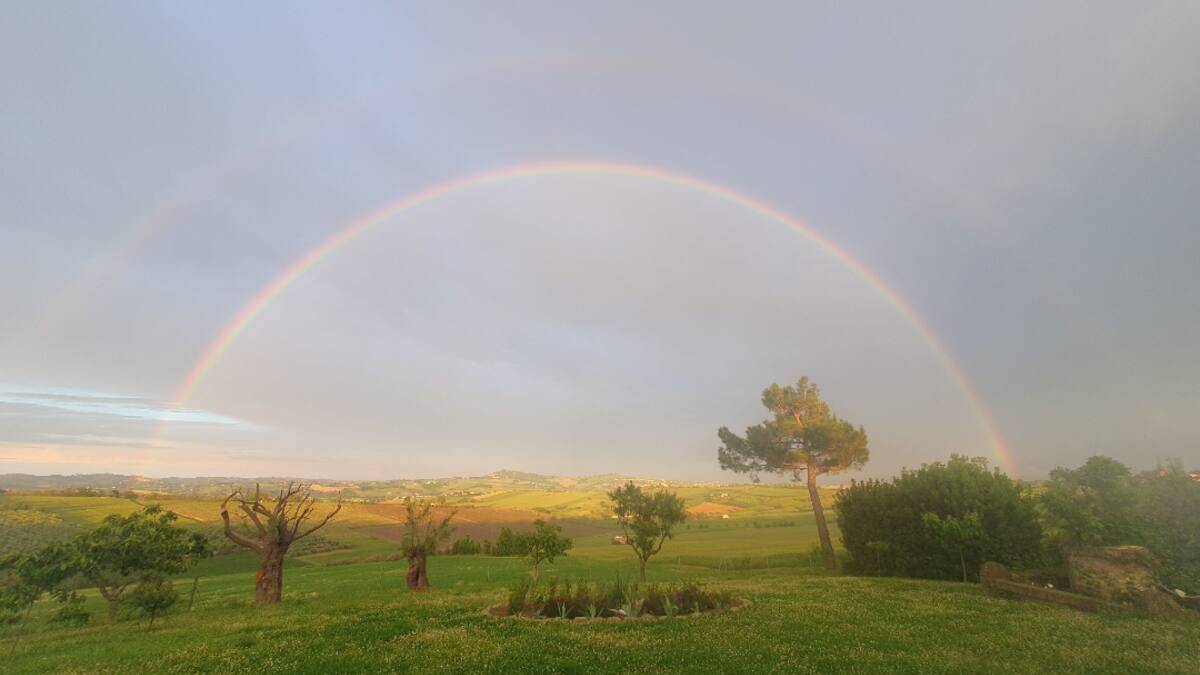 Rainbbow