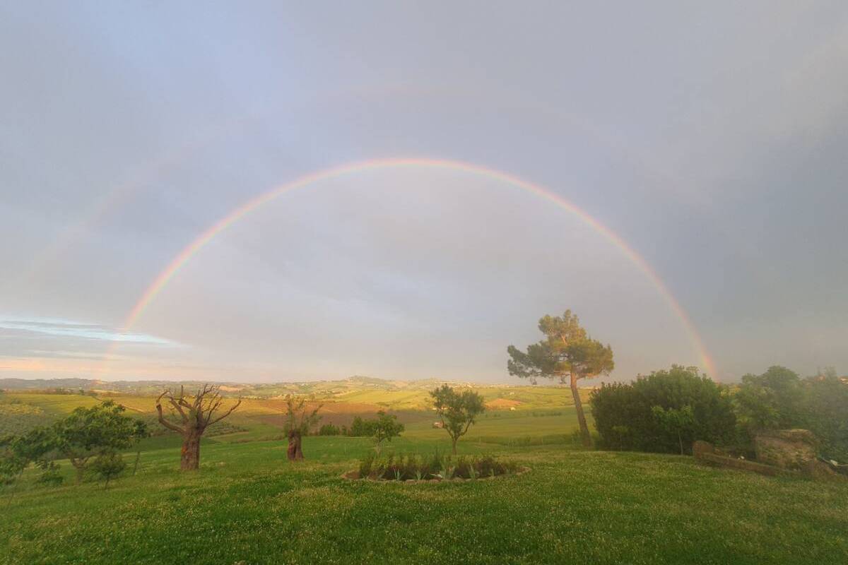 Rainbbow