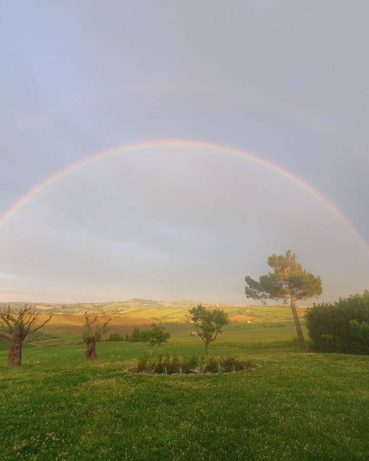 Rainbbow