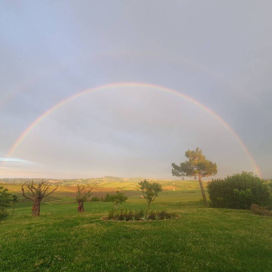 Rainbbow