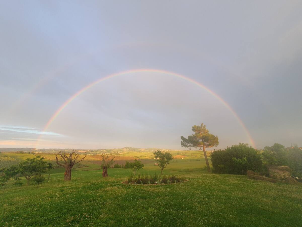 Rainbbow